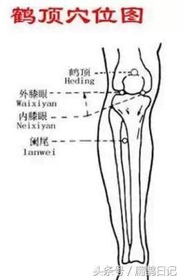 鶴頂穴位置|人體穴位大全——鶴頂穴：耳聾耳鳴、臂痛、癲癇等